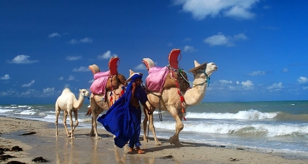 Tunisie/Tourisme: Amel Karboul table sur 20 millions de touristes en 2024?