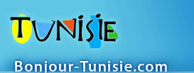 Communication on line: haro sur le site Bonjour-Tunisie.com