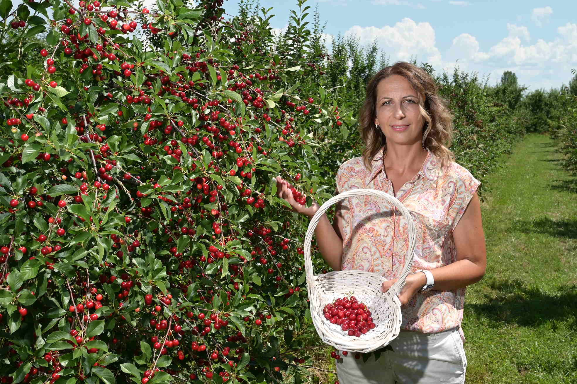 Tourisme rural dans les Balkans occidentaux : TUI Care Foundation et la GIZ soutiennent 90 ménages agricoles